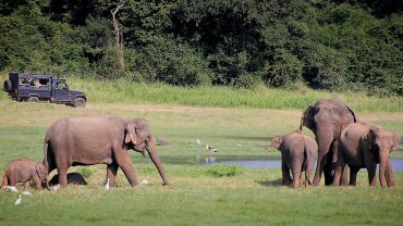 Sri Lanka: A Pearl in the Indian Ocean Awaits