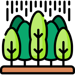 Rainforests & Wildlife