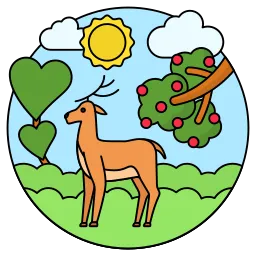 Wildlife & Nature