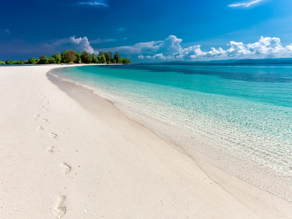 tour packages & travel services