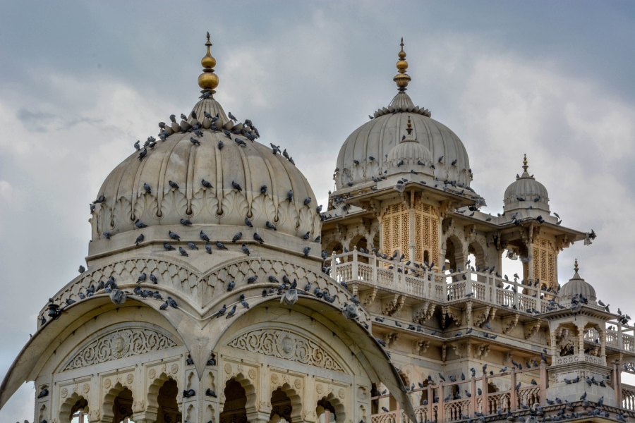 Rajasthan Marwad