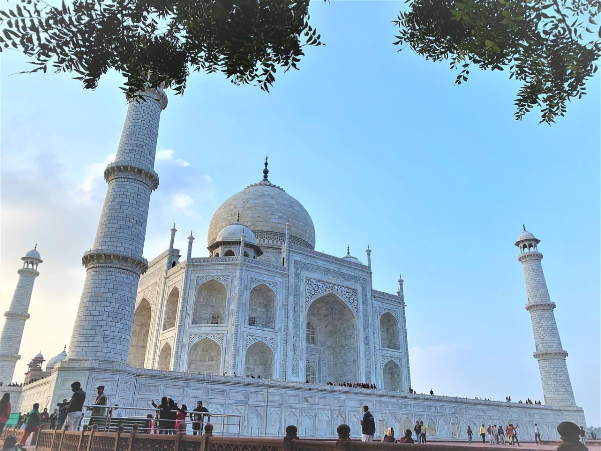 tour packages & travel services